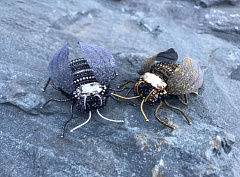 мк "королевская пчелка", мастер-классы